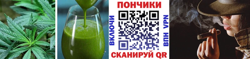 Купить  Гай  Canna-Cookies конопля 