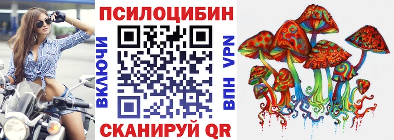 Псилоцибиновые грибы Magic Shrooms  Купить закладки  Гай 